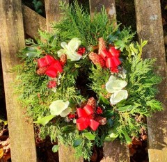 Wreath Large With Xmas Rose